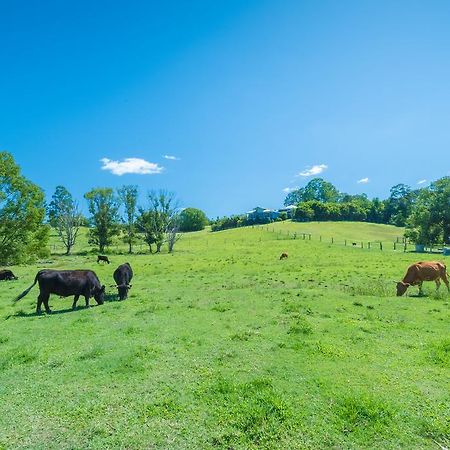 Jacaranda Creek Farmstay & B&B Sunshine Coast Buitenkant foto