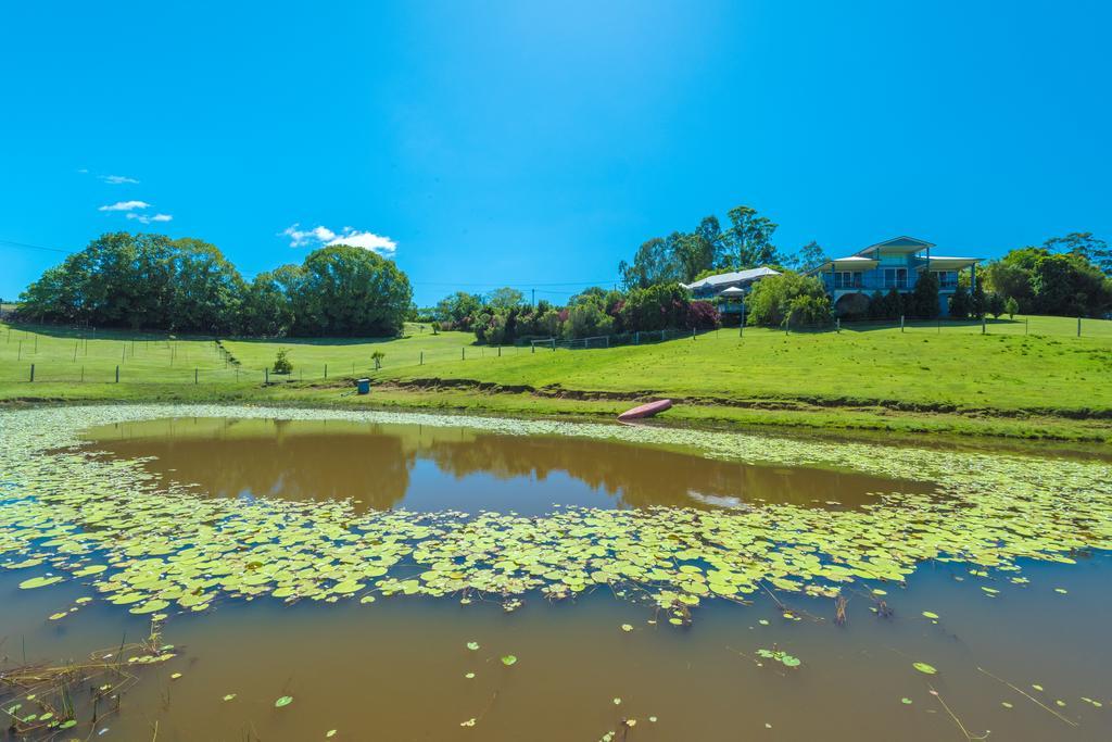 Jacaranda Creek Farmstay & B&B Sunshine Coast Buitenkant foto