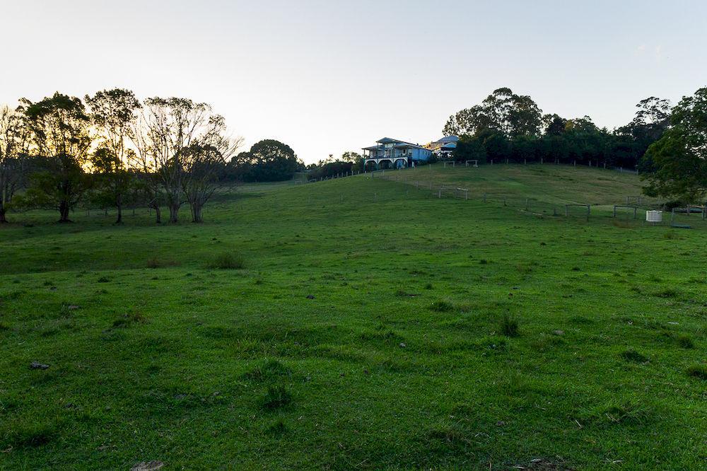 Jacaranda Creek Farmstay & B&B Sunshine Coast Buitenkant foto