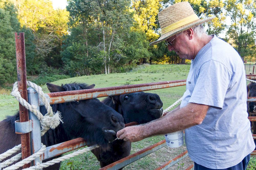 Jacaranda Creek Farmstay & B&B Sunshine Coast Buitenkant foto